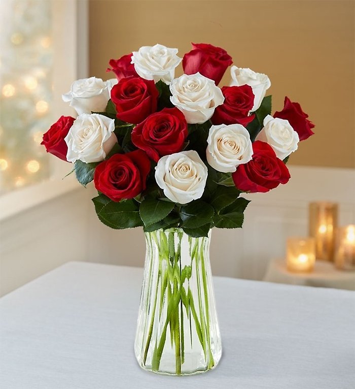 Dozen Red and White Rose Vase