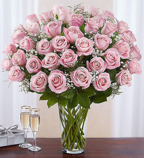 4 Dozen Pink Rose Vase